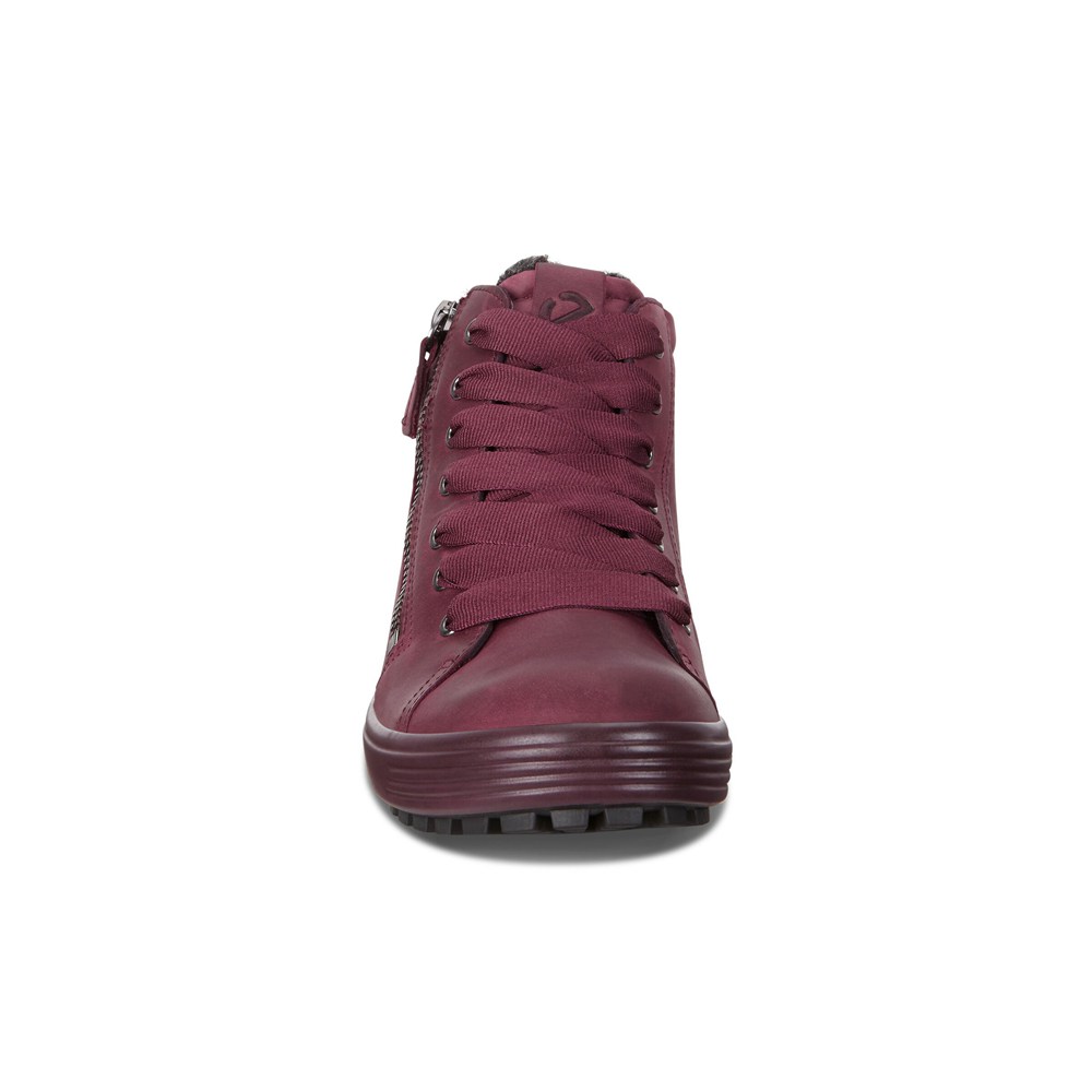 Tenis Mujer - ECCO Soft 7 Tred Gtx Hi - Vino - BEG041697